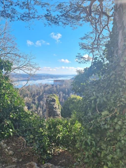 Charismatisch Und Gemuetlich In Guettingen, Nah Zum Buchensee Und Bodensee, Tolle Lage Radolfzell am Bodensee Kültér fotó